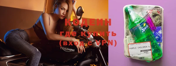 дживик Белокуриха