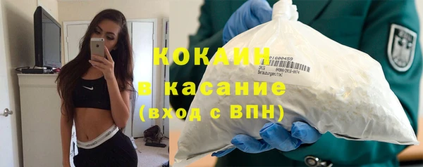 дживик Белокуриха