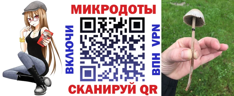 Галлюциногенные грибы Psilocybe  купить наркоту  Армавир 